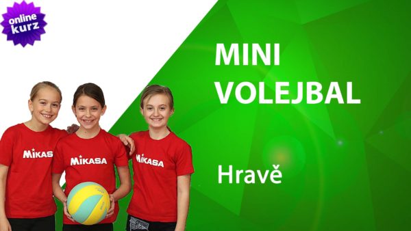 online kurz minivolejbal hravě