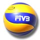 World League – festival of international volleyball