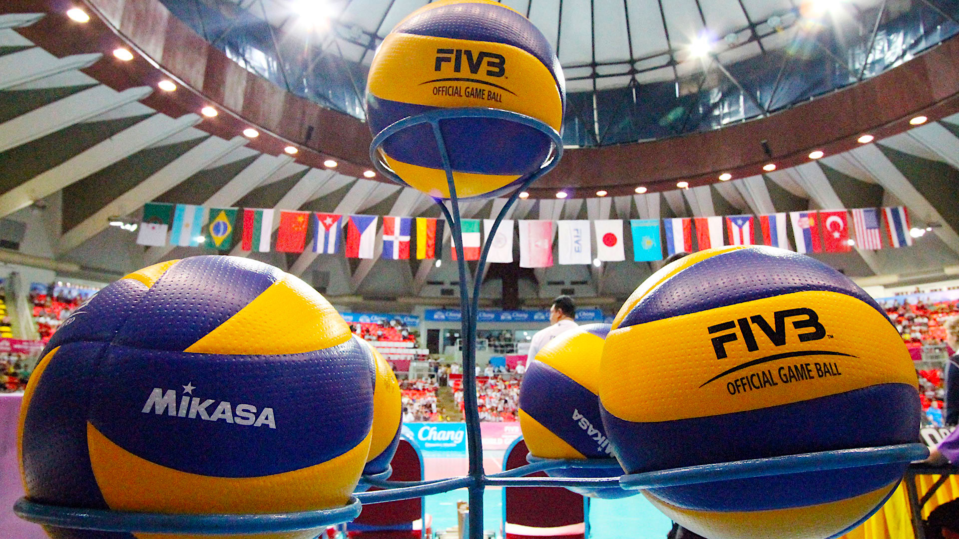 How to make profitable bets in volleyball - VolleyCountry